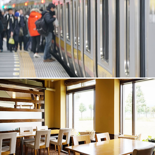 エアロゾル 観戦